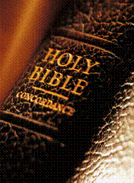 bibles.gif